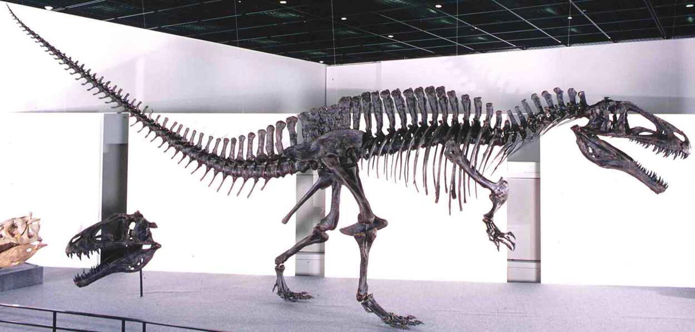 アクロカントサウルス·アトケンシス