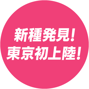 新種発見！　東京初上陸！